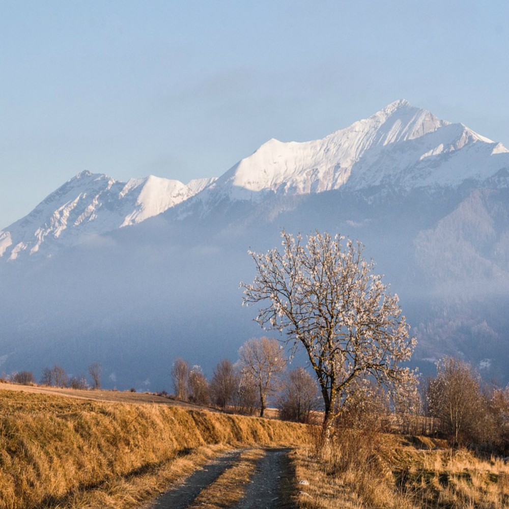 真主为何创造？