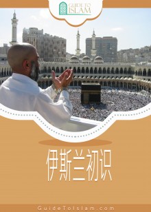 伊斯兰初识