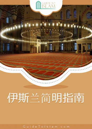 伊斯兰简明指南