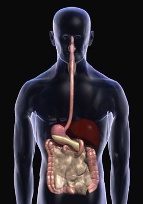 Isang Sistemang Planado ang Bawat Detalye nito