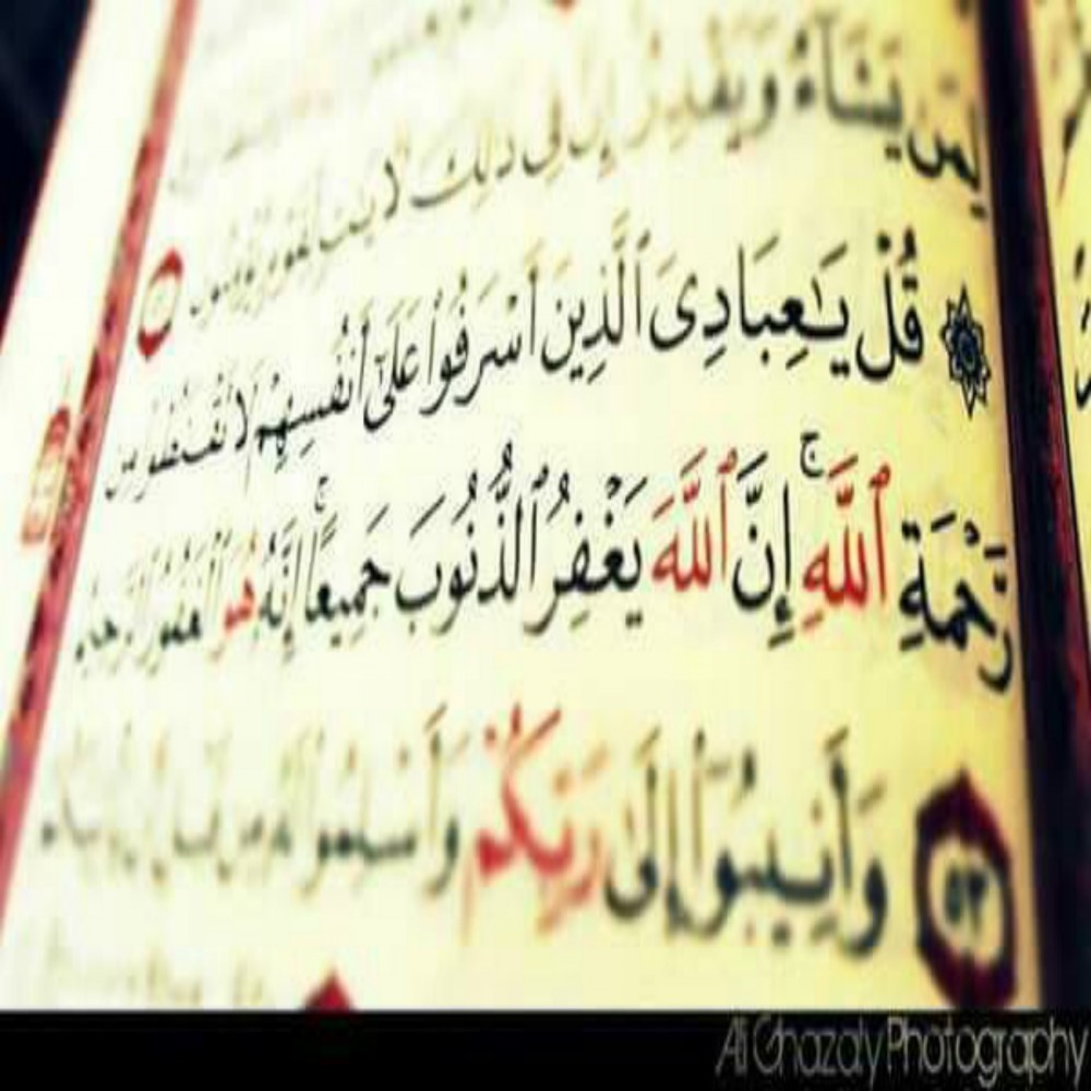 Ang Mga Payong Pagkakapatiran