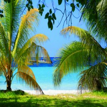 Following the Evidence Wherever It Leads