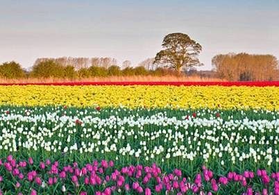 Chapitre 109, Al-Kafiroon (Les mécréants)