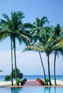 Sourate 19, Maryam (Marie)