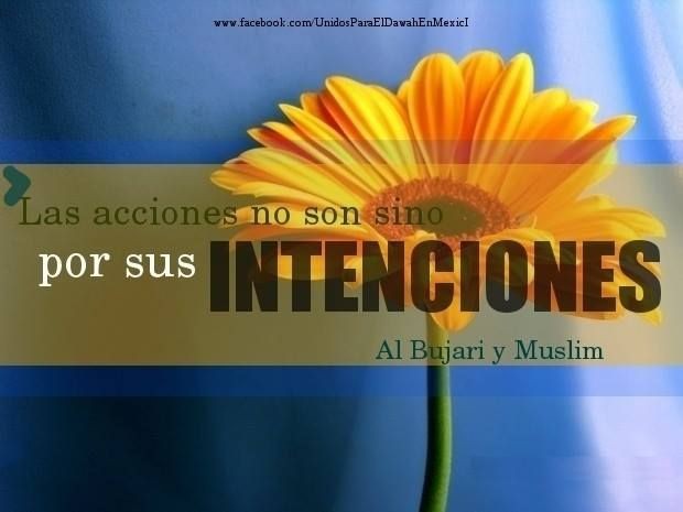 Acciones e Intenciones