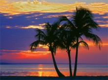 Paix et sécurité (partie 2 de 3) : La société