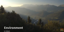 Environment in Islam