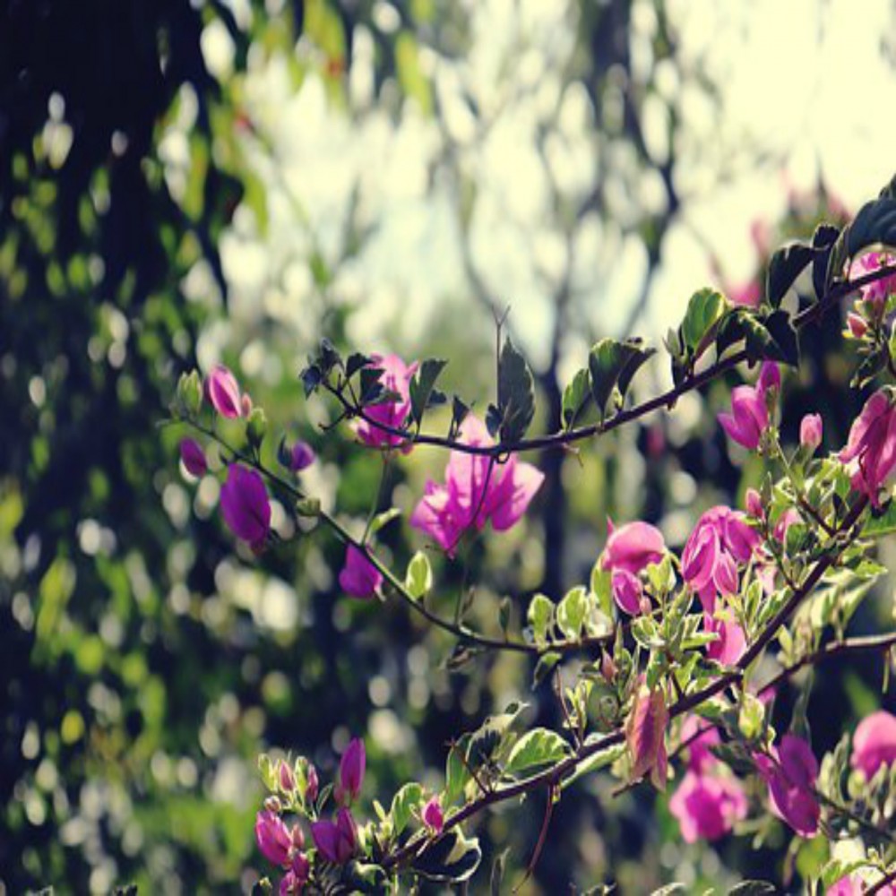 Ang Katarungan ng Paghuhukom