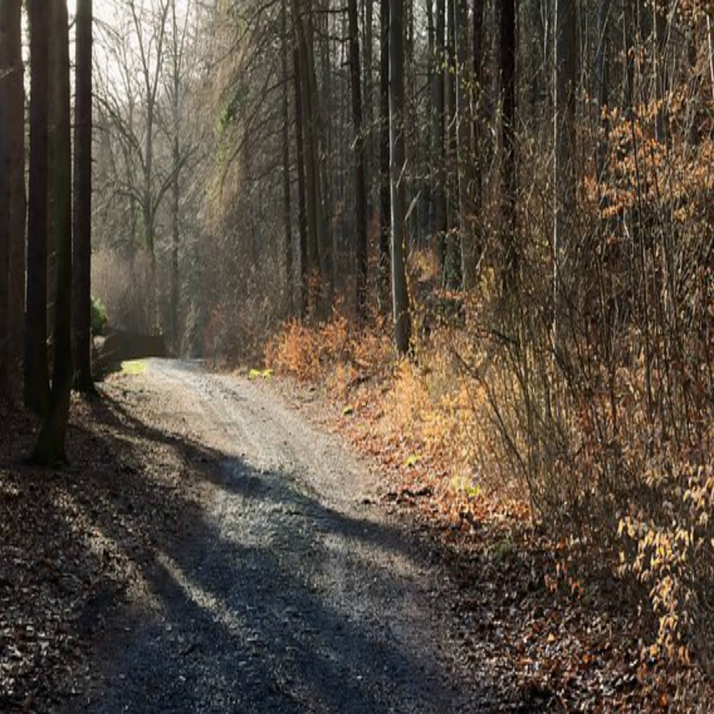 Gesù è Dio? (parte 3 di 4)