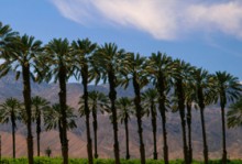 Preservação da Sunnah por Deus (parte 4 de 7): A Preservação do Isnad