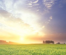 Милость, вера и поступки: милость Господа (часть 3 из 4)