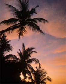 伊斯兰的精神性概念