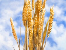 Si Hesus, anak ni Maria (bahagi 3 ng 5): Ang mga Disipulo