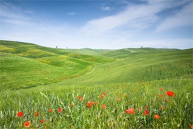 Ang Pamamaraan ng Wudhu