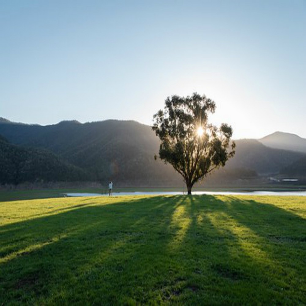 Chapitre 82, Al-Infitar (La rupture)