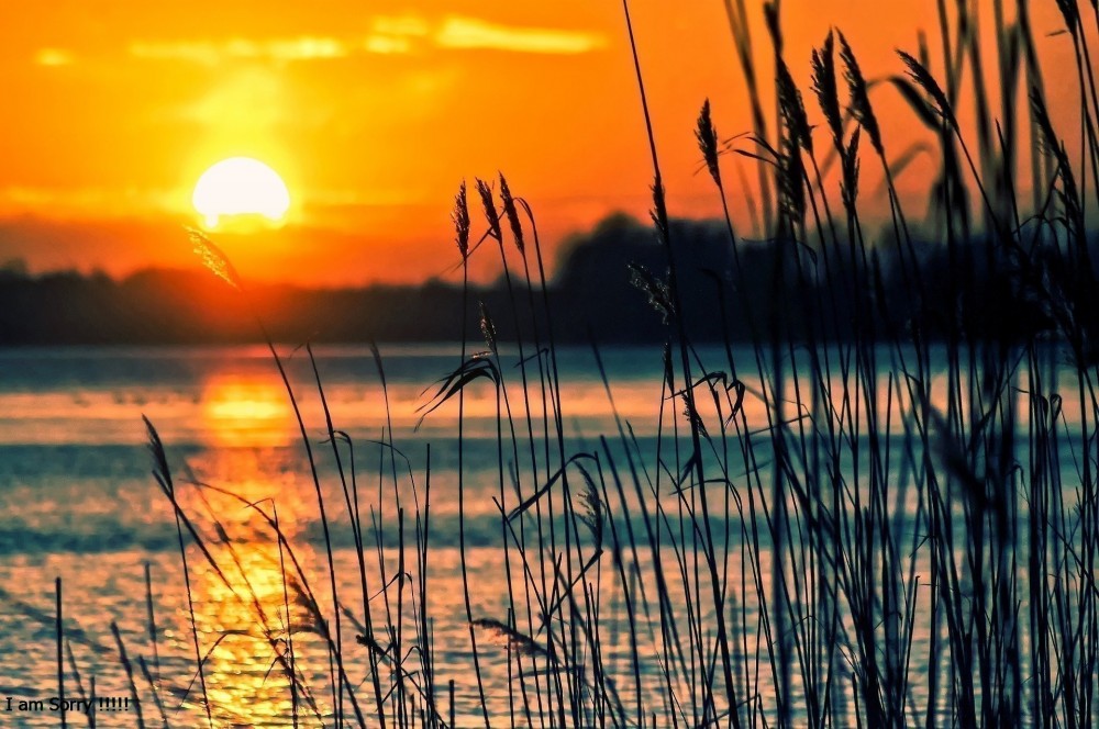 Ang mga Pakinabang ng Pagpasok sa Islam (bahagi 3 ng 3)