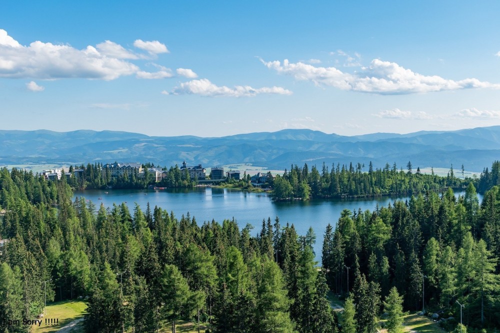 O Pecado Original (parte 1 de 2)