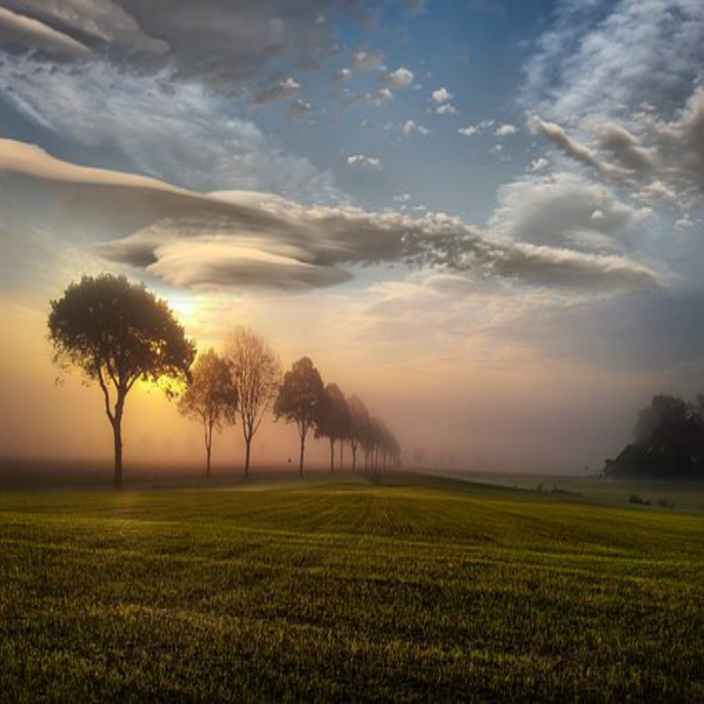 伊斯兰信仰分类简介系列 11 - 12