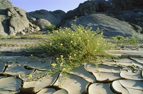 La vie après la mort (partie 1 de 2): Une discussion