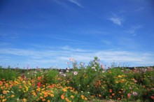 Ang Pagpapahintulot ng Propeta sa Ibang mga Relihiyon (bahagi 2 ng 2): Kalayaan sa Relihiyon at Pulitika