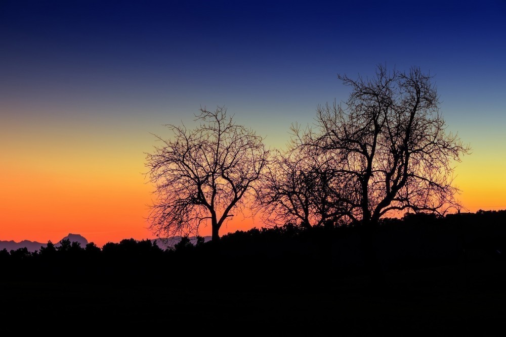 Ang Paglalakbay Patungo sa Kabilang Buhay (bahagi 6 ng 8): Ang Di-mananampalataya sa Araw ng Paghuhukom