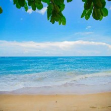 अपनी खेती में जैसे मर्जी करे आओ।