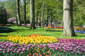 世界与西方的一夫多妻