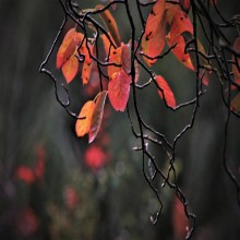 ¿Dios se hizo hombre? (parte 4 de 5)