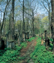 НОВЫЙ ЗАВЕТ