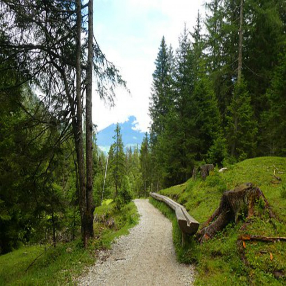 伊斯兰信仰分类简介系列 13 - 14