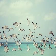 L'Elevazione della Condizione Femminile (2 di 5): Tra due Estremi