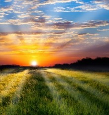 सफर करो ताकि फायदा हासिल कर सको।