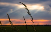 Islam’S Perspective On Homosexuality