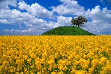 La misericordia di Muhammad verso i Non-Musulmani (parte 1 di 2)