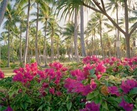 История Адама: Первый человек (часть 1 из 5)