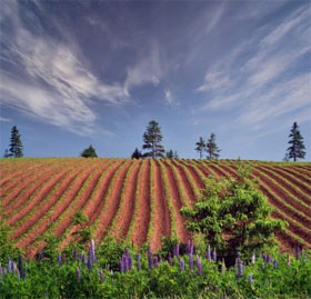 История Адама Часть 3. Сошествие на землю