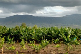 La véritable richesse (partie 1 de 2)