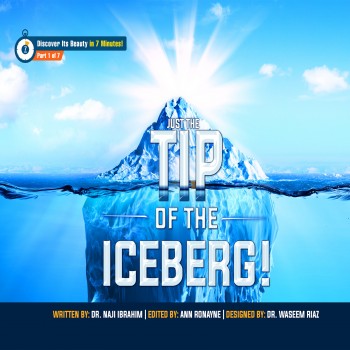 Just the Tip of the Iceberg