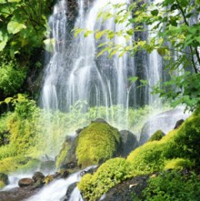 L’eau et le maintien d’une bonne hygiène