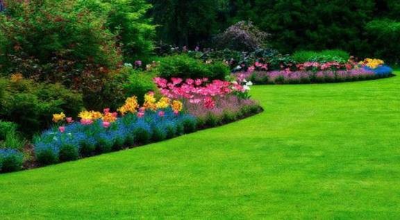 Les érudites de l’islam (partie 1 de 2)